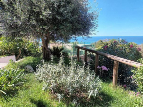 Il rosmarino Ischia